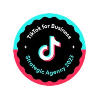 TikTok for Business Strategic Agency 2023